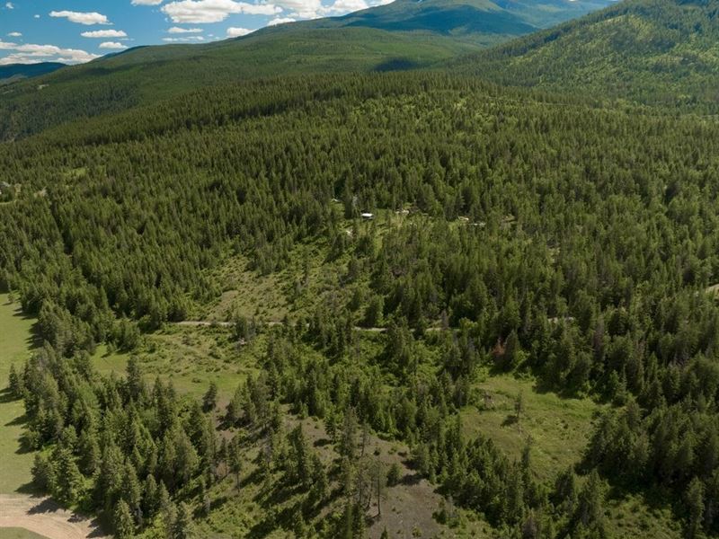 Two Tail Rd : Bonners Ferry : Boundary County : Idaho