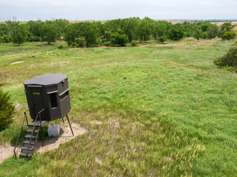 Graham County Whitetail Oasis : Hill City : Graham County : Kansas