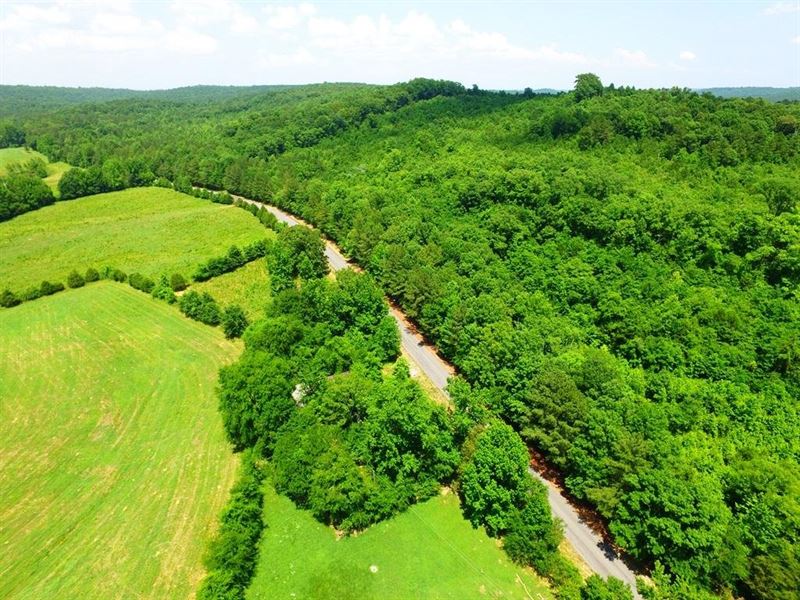 Colbert County 58 Acres : Tuscumbia : Colbert County : Alabama