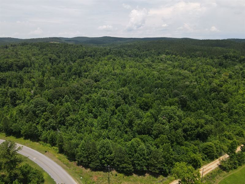 27 Wooded Acres Clay, AL : Talladega : Clay County : Alabama