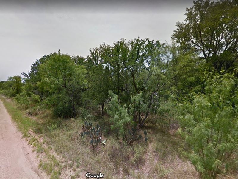 Two Lots, Minutes to Lake Lbj : Granite Shoals : Burnet County : Texas