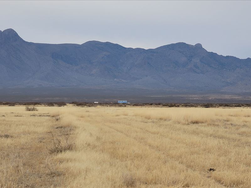 Make Money From 1 Acre, Only $50/Mo : Deming : Luna County : New Mexico