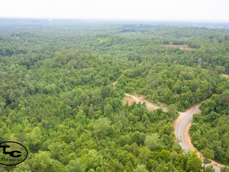 108+/- Acres, Freeman Tract : Hull : Tuscaloosa County : Alabama