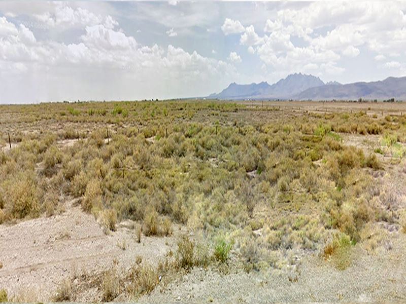 Incredible Half Acre Lot in NM : Deming : Luna County : New Mexico