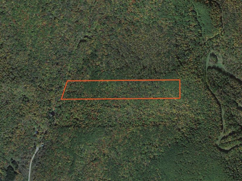 Large Acreage Hunting Getaway : Allegany : Cattaraugus County : New York