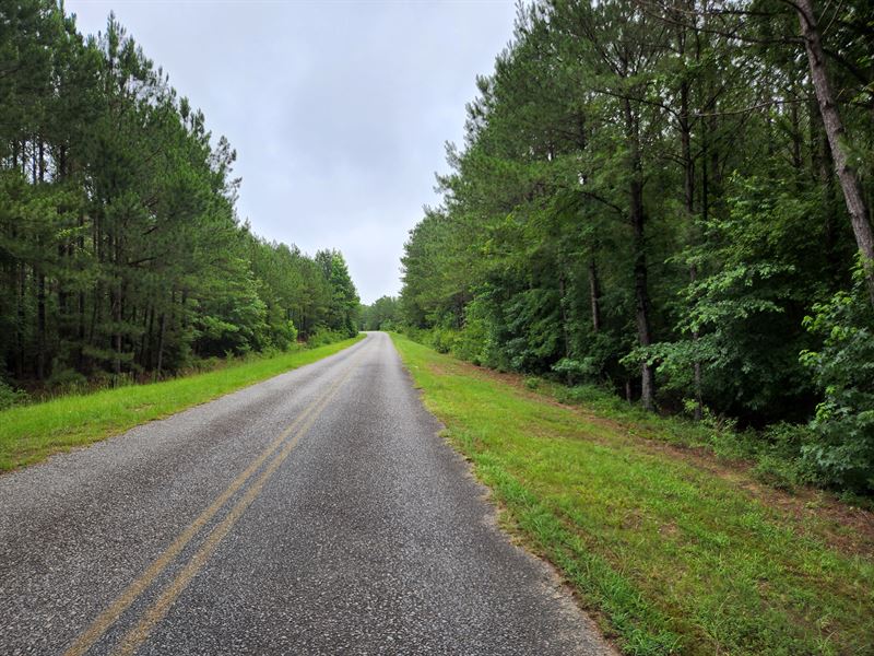 Goose Hollow Road : Reynolds : Taylor County : Georgia