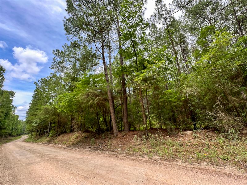 10 Acres, T-5B Howell Rd : Corrigan : Polk County : Texas