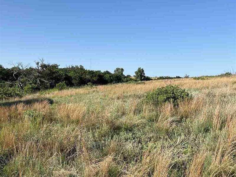 Pond, Grassland, & Hunting : Elk City : Washita County : Oklahoma