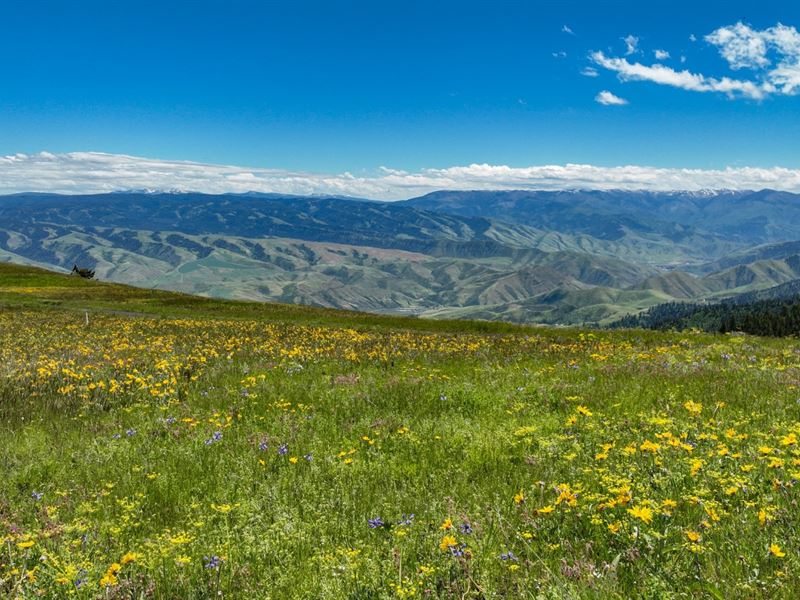 60.38 Acres Twin River Ranch : White Bird : Idaho County : Idaho