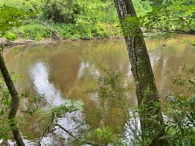 4 Acres On Magee's Creek In Walthal : Tylertown : Walthall County : Mississippi