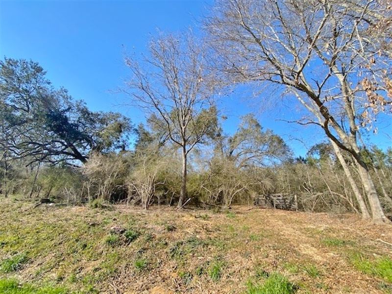 29 Acres-Hwy 1057 Kentwood, LA : Kentwood : Tangipahoa Parish : Louisiana