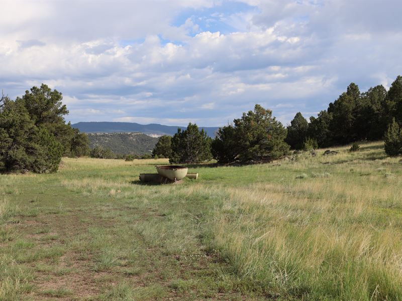 Rancho Manana : Quemado : Catron County : New Mexico