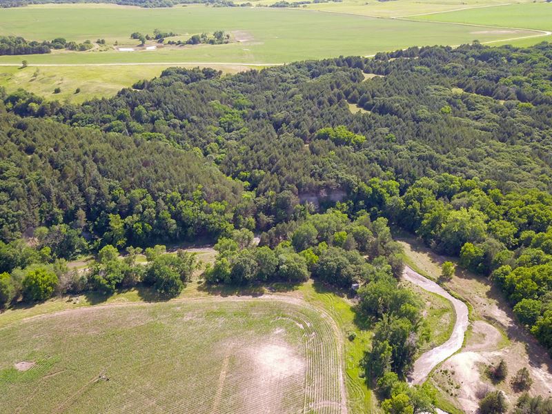 Knox County Verdigre Creek : Verdigre : Knox County : Nebraska