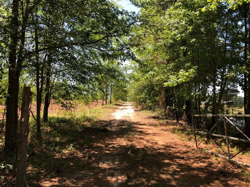 Affordable Hunting & Road Front : Sparta : Hancock County : Georgia
