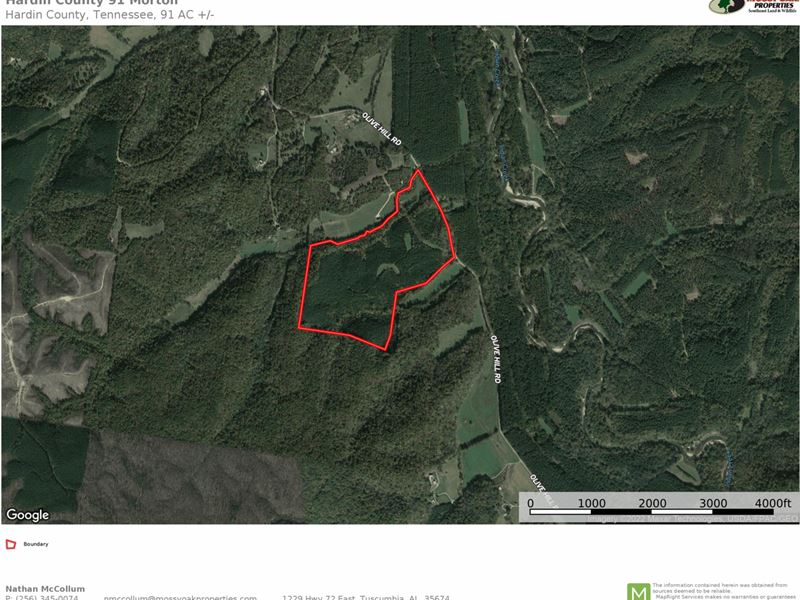 Olive Hill, Tennessee Tract : Olivehill : Hardin County : Tennessee