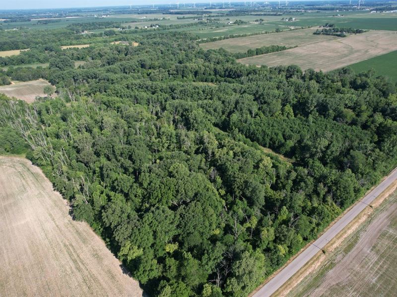 40 Acres / Ridgeville, in 4730 : Ridgeville : Randolph County : Indiana