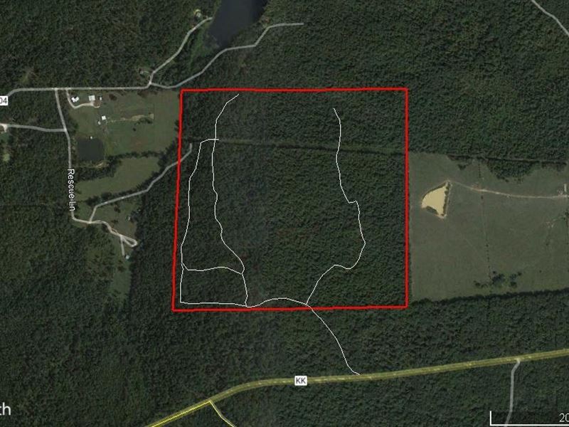 160 Acres For Sale in Butler County : Wappapello : Butler County : Missouri