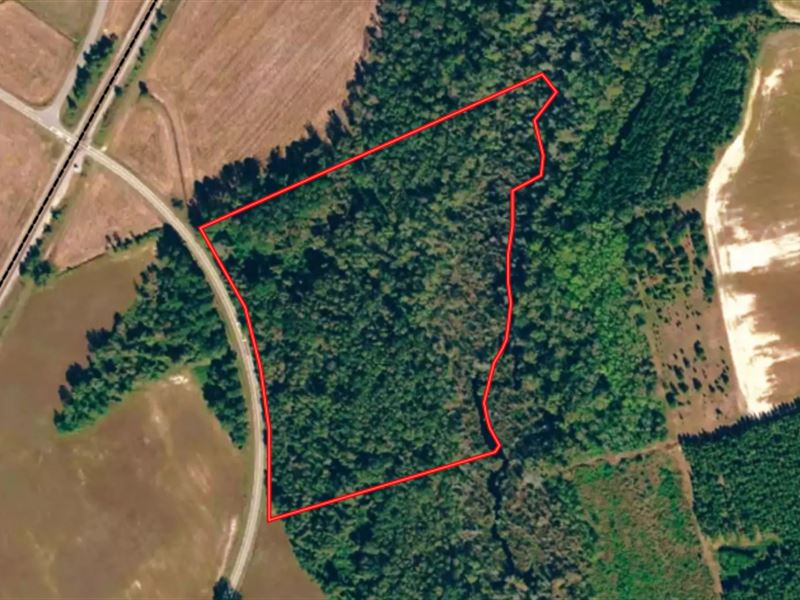 15 Acres of Reside : Rowland : Robeson County : North Carolina