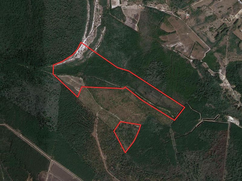 Reduced, 129 Acres of Secluded : Elizabethtown : Bladen County : North Carolina