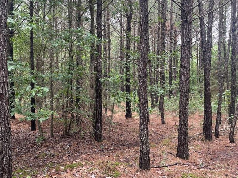 Miller County 42 Homesite 30, Mille : Fouke : Miller County : Arkansas
