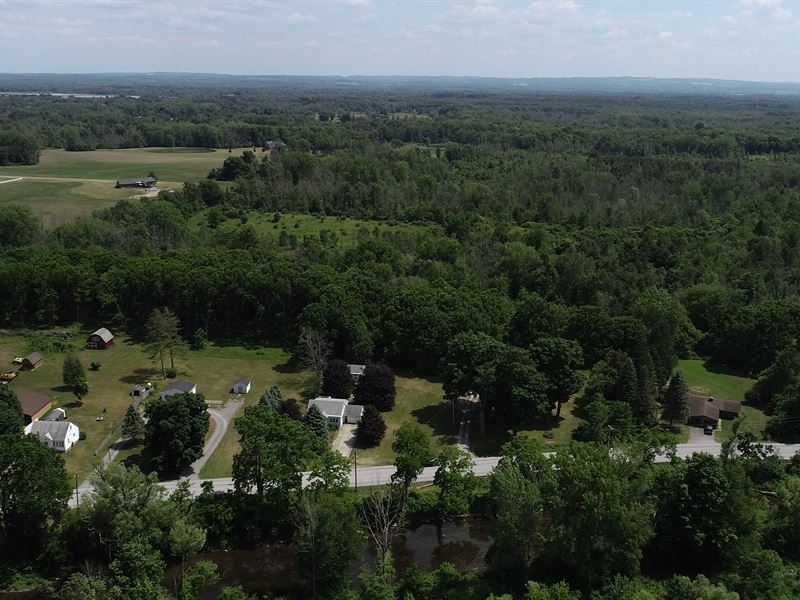 Light Woods and Brush to Build : Batavia : Genesee County : New York