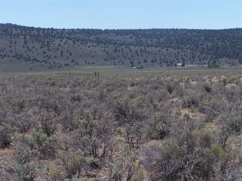 Awesome, Ag/Res Land, EZ Access : Termo : Lassen County : California