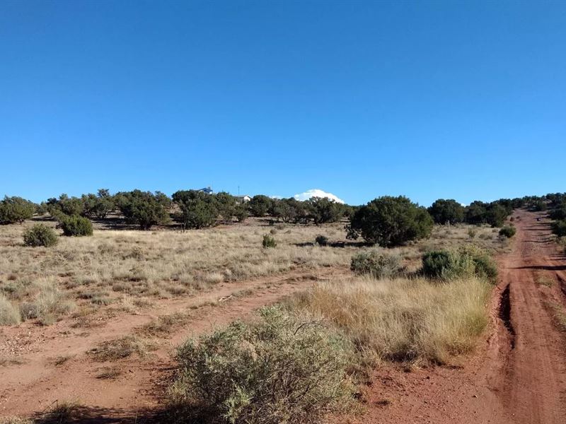Secluded, Possible Double Lot : Snowflake : Navajo County : Arizona