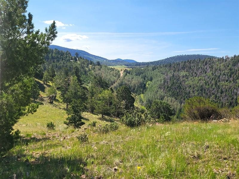 T & S Ranch : Westcliffe : Custer County : Colorado