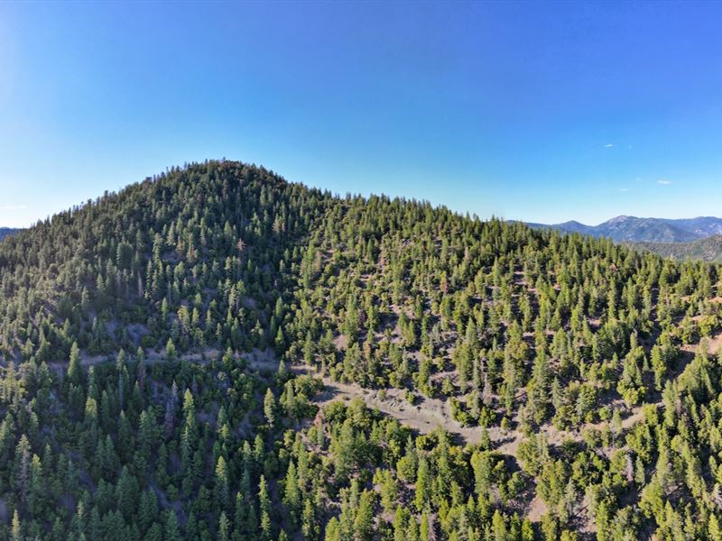 Fort Jones Frontier : Fort Jones : Siskiyou County : California