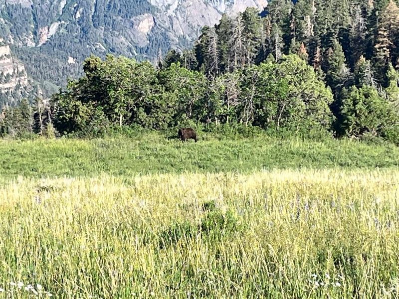 High Meadow Ranch : Ridgway : Ouray County : Colorado