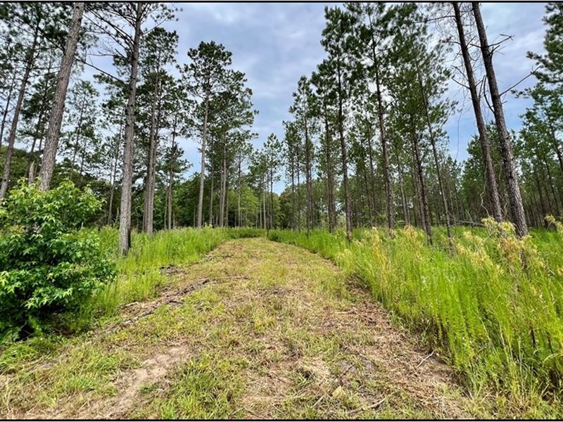 2.4 Acres in Lincoln County in Bogu : Bogue Chitto : Lincoln County : Mississippi