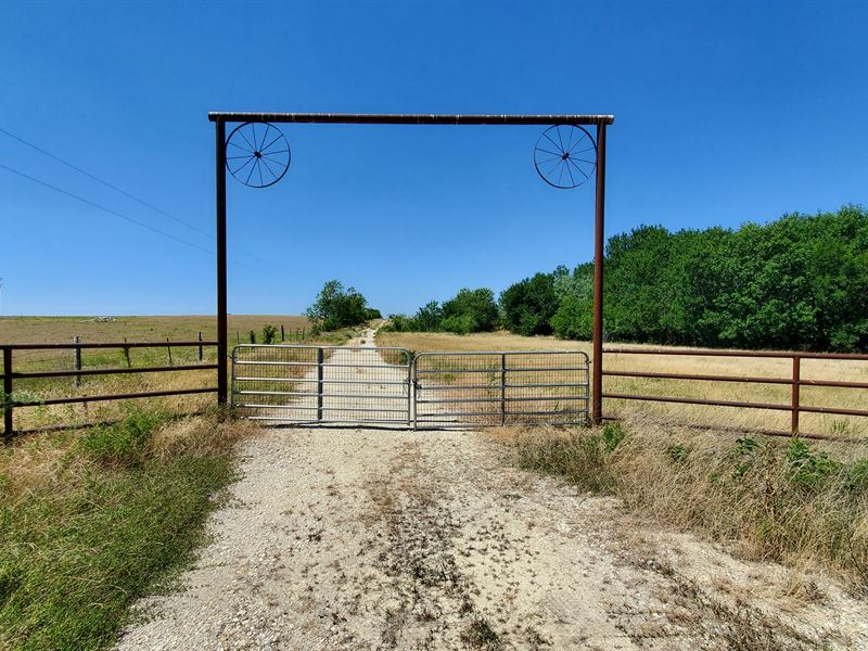 11.12 Ac W Milam County Near Rogers : Rogers : Milam County : Texas