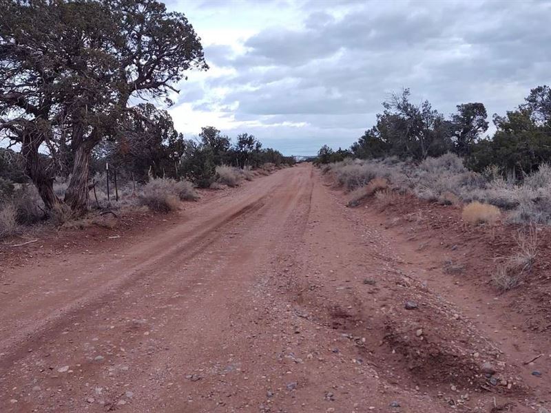Secluded Natural Getaway : Snowflake : Navajo County : Arizona