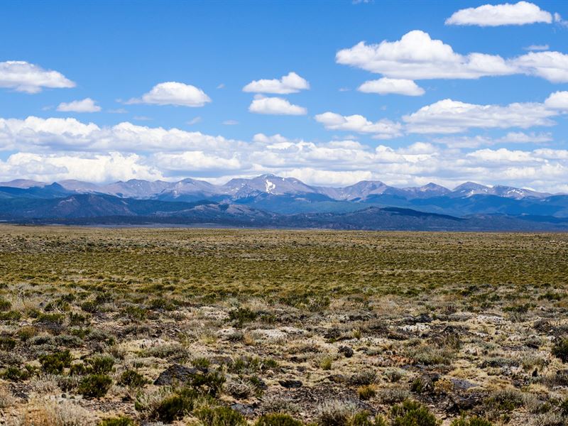 5 Acres in The CO Mountains, $85/Mo : Blanca : Costilla County : Colorado