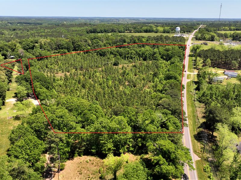 15 Acres Investor's Dream, Clio, AL : Clio : Barbour County : Alabama