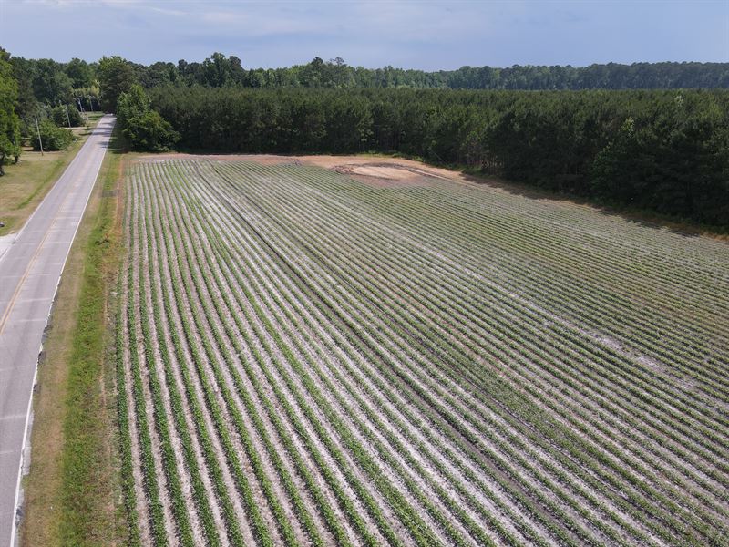 Timber Tract and Home Site : Wilson : Nash County : North Carolina
