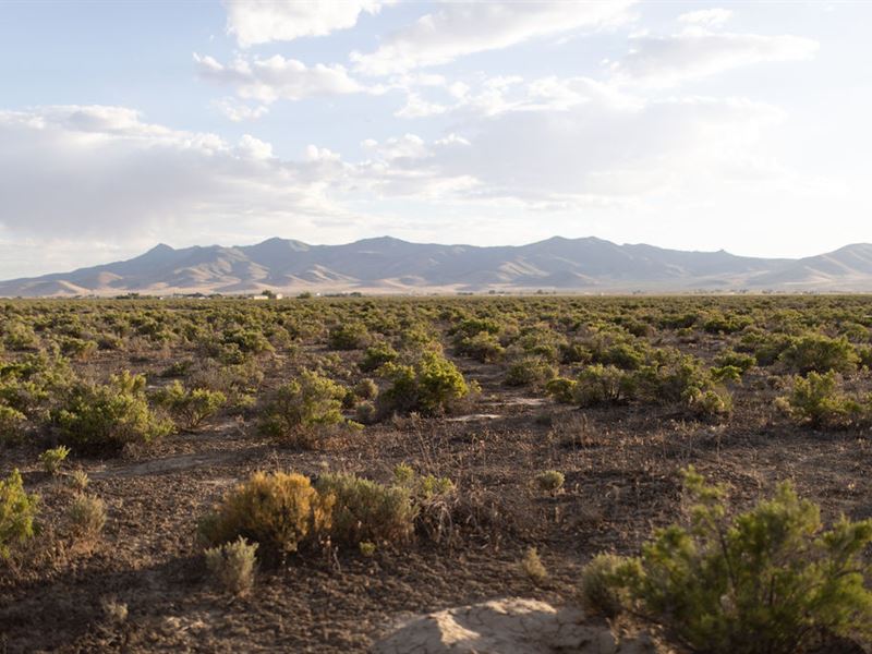 Make This Wilderness All Yours : Winnemucca : Humboldt County : Nevada