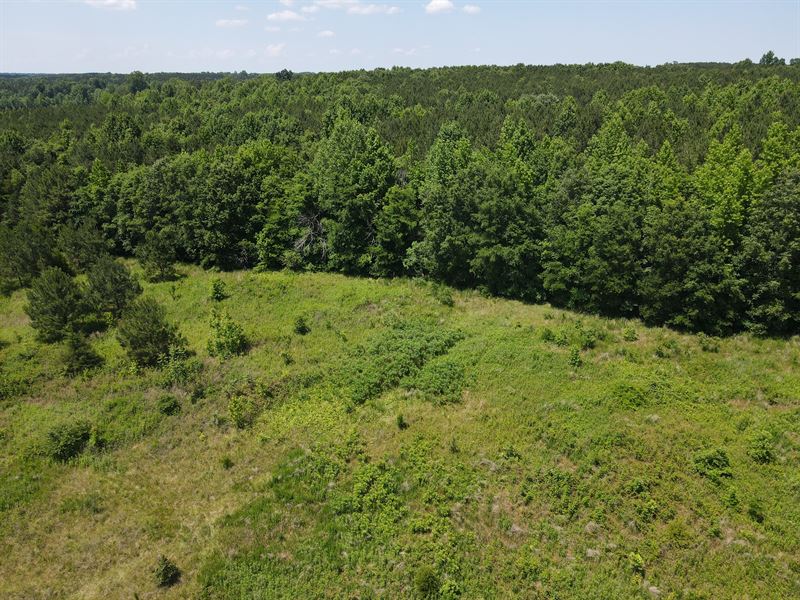 Private Homesite with Acreage : Henderson : Warren County : North Carolina