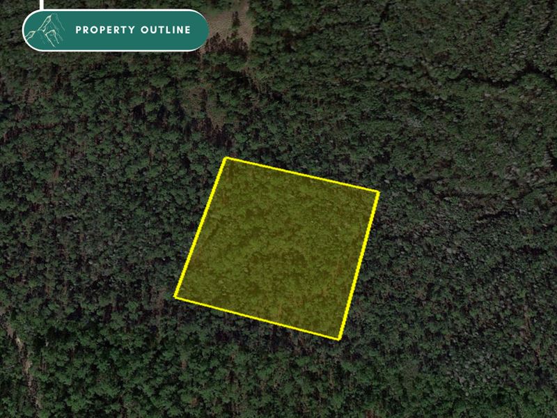 Outdoors Adventurer Special : Clermont : Lake County : Florida