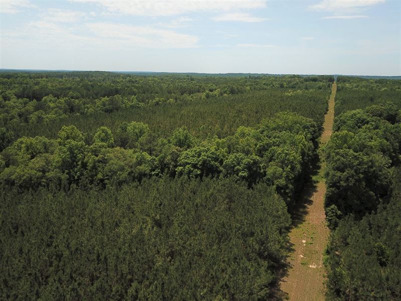 Gault Creek Road Tract : Jonesville : Union County : South Carolina