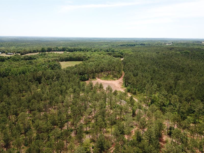 Wilkinsonville Highway Tract : Gaffney : Cherokee County : South Carolina