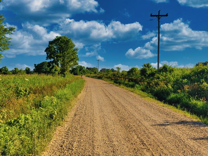 Wooded Lot, Road Frontage & Power : Eudora : Chicot County : Arkansas
