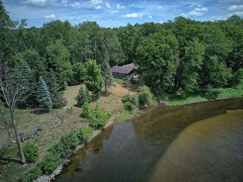 Muskegon River 28 : Evart : Osceola County : Michigan