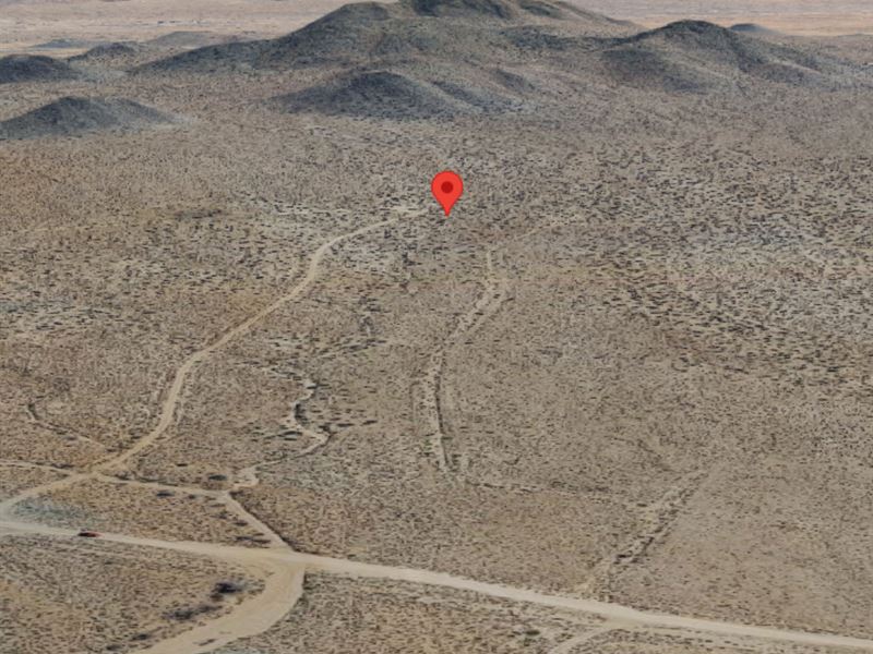 Kingman, AZ 86401 : Kingman : Mohave County : Arizona