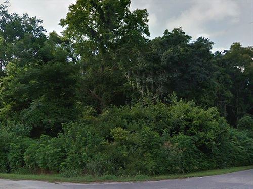 .57 Acre in Madison County, FL : Greenville : Madison County : Florida