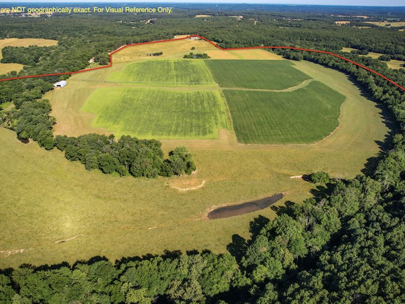 Farm and Ranch Land for Sale in MO : Salem : Dent County : Missouri