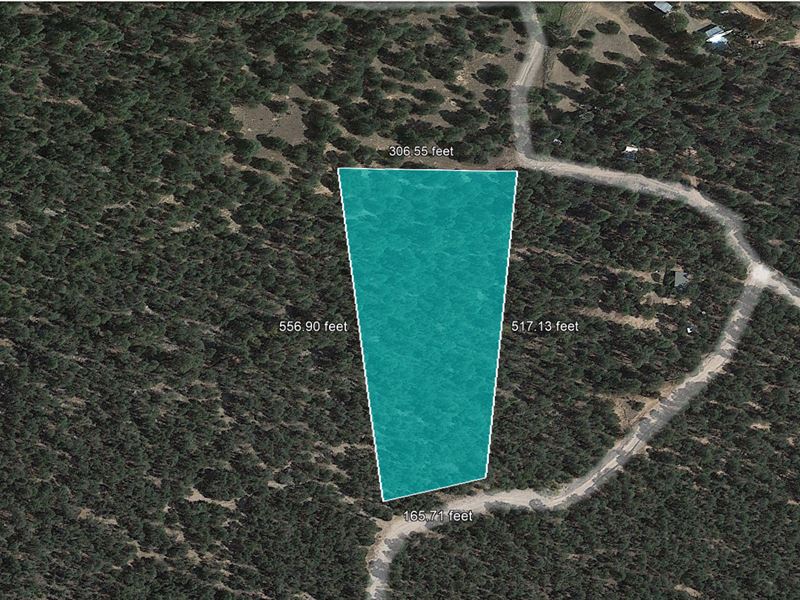 Buildable Lot in Egdewood, NM : Edgewood : Torrance County : New Mexico