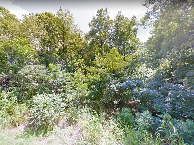 Unrestricted, Rural Lot, Fsbo : Parsons : Decatur County : Tennessee
