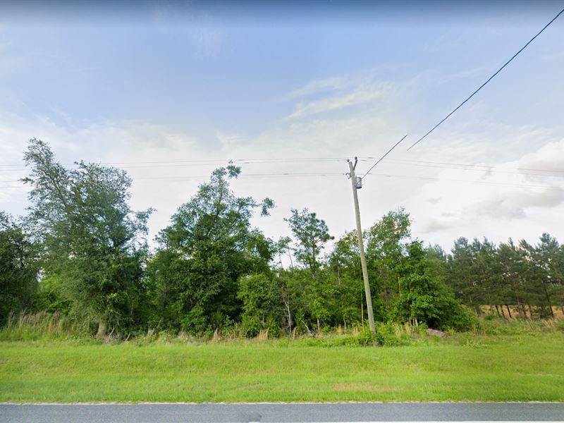 Many Possibilities, Fsbo : Greenwood : Jackson County : Florida