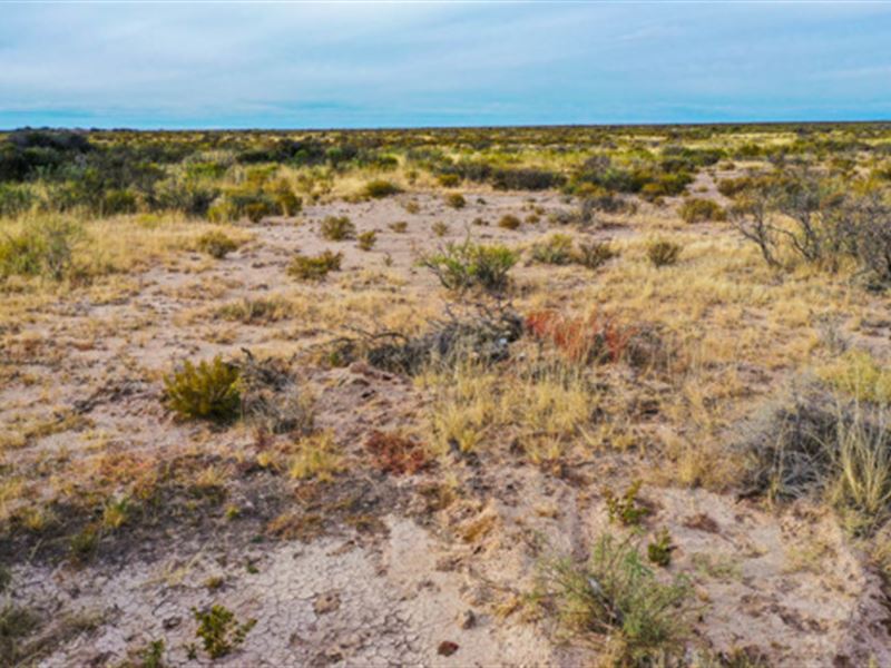 Put Gunsight Ranch in Your Sights : Sierra Blanca : Hudspeth County : Texas